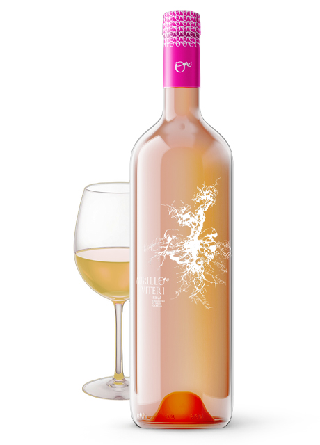 Vino Rosado Murillo Viteri