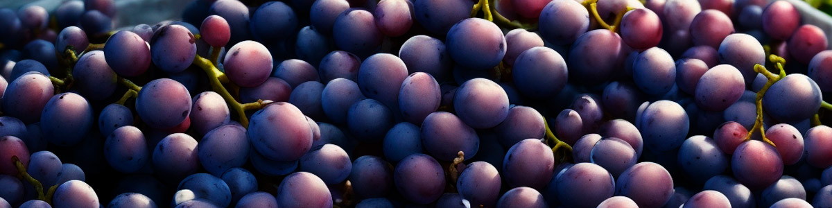 Uvas vino de autor Uvas vino de autor